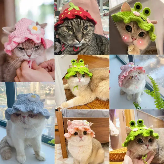 Adorable Cat hats - AWE!